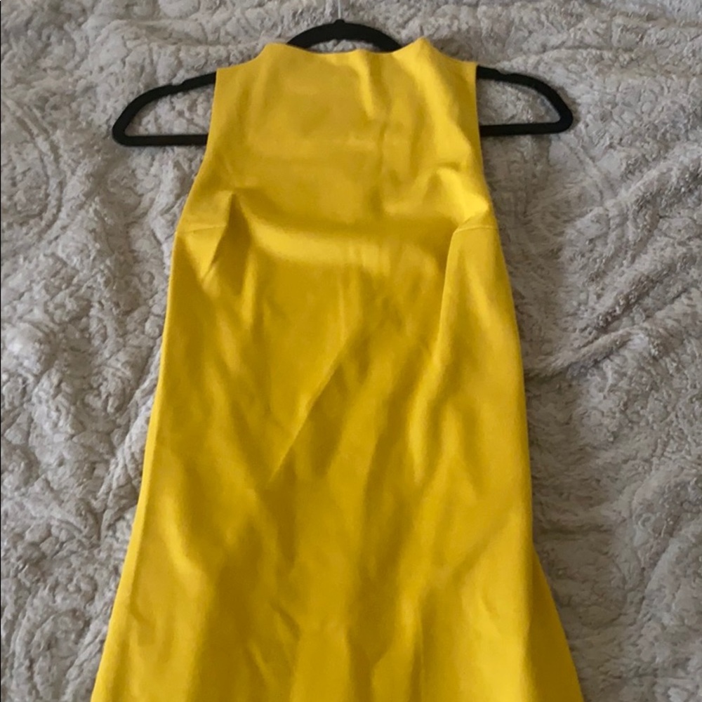 Aritzia Baaton Mathewson Dress